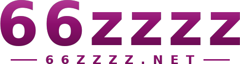 66zzzz logo